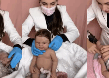 Um projeto de lei quer multar em até R$ 30 mil quem usar bonecos "bebê reborn" para burlar filas e serviços prioritários no Brasil. Entenda a proposta, a motivação e para onde vai o dinheiro arrecadado.