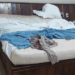 Homem é preso em Bocaiúva (MG) após tentar assassinar mulher em motel. Segundo a Polícia Civil, ele planejava mumificar o corpo e transformá-la em escrava sexual.