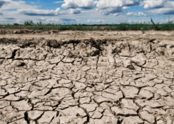 #seca, #clima, #meioambiente, #crisehidrica, #sustentabilidade, #MonitorDeSeca, #ANA, #Nordeste, #Sudeste, #Sul, #tempo, #climabrasil