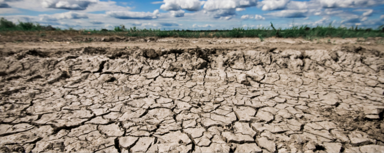 #seca, #clima, #meioambiente, #crisehidrica, #sustentabilidade, #MonitorDeSeca, #ANA, #Nordeste, #Sudeste, #Sul, #tempo, #climabrasil
