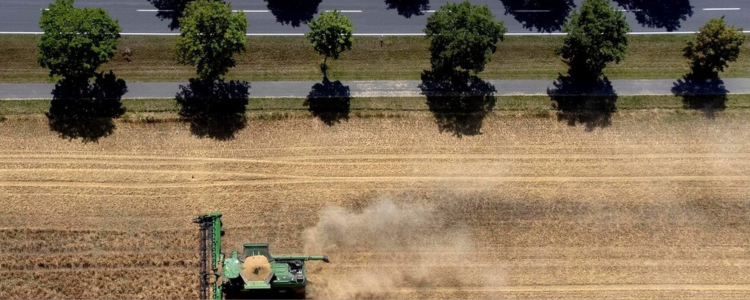 China pode abandonar soja dos EUA e comprar exclusivamente do Brasil a partir de 2025. Consultoria alerta que país pode não ter estrutura para atender a demanda.
