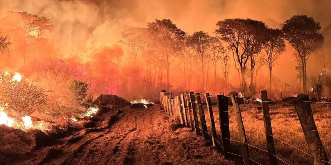 A Polícia Federal iniciou a Operação Incêndios 2025 nos estados com maior índice de crimes ambientais. A ação começa no Pantanal e será ampliada para a Amazônia nas próximas semanas.