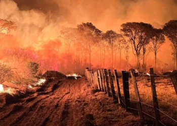 A Polícia Federal iniciou a Operação Incêndios 2025 nos estados com maior índice de crimes ambientais. A ação começa no Pantanal e será ampliada para a Amazônia nas próximas semanas.