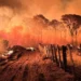 A Polícia Federal iniciou a Operação Incêndios 2025 nos estados com maior índice de crimes ambientais. A ação começa no Pantanal e será ampliada para a Amazônia nas próximas semanas.