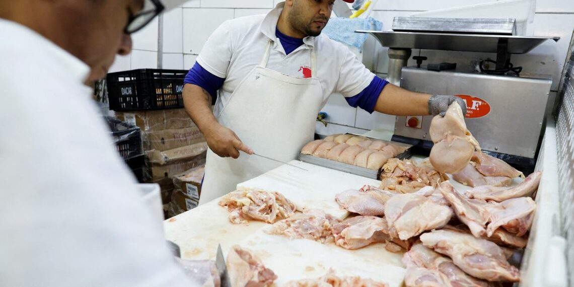 Brasil volta a ser considerado livre da gripe aviária e reativa exportações de carne de frango. Dezesseis países já retiraram restrições. MAPA segue em tratativas com mercados que mantêm embargos.