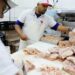 Brasil volta a ser considerado livre da gripe aviária e reativa exportações de carne de frango. Dezesseis países já retiraram restrições. MAPA segue em tratativas com mercados que mantêm embargos.