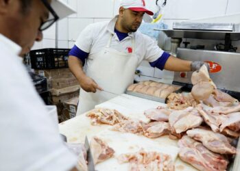 Após cumprir protocolo sanitário e passar 28 dias sem registros em granjas comerciais, Brasil volta a ser considerado livre da influenza aviária, conforme comunicado do Ministério da Agricultura à OMSA.