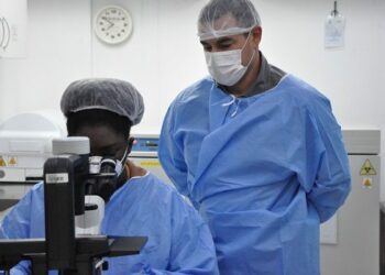 Nanopartículas desenvolvidas por cientistas da Fiocruz reduzem tumores e impedem metástases no câncer de mama em testes com camundongos, abrindo caminho para nova imunoterapia.