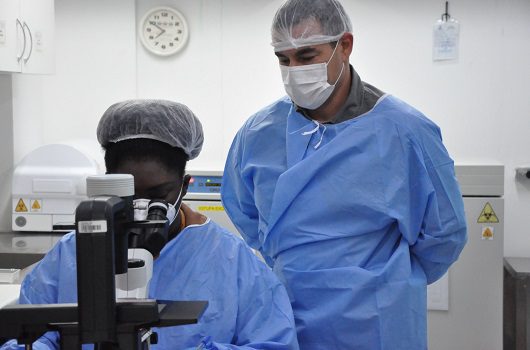 Nanopartículas desenvolvidas por cientistas da Fiocruz reduzem tumores e impedem metástases no câncer de mama em testes com camundongos, abrindo caminho para nova imunoterapia.