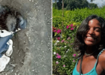 Itamaraty e autoridades indonésias se manifestam após o resgate do corpo da brasileira no Monte Rinjani, destacando a cooperação internacional e o empenho das equipes.