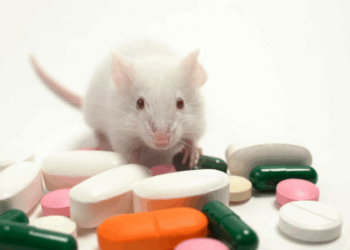 Anvisa divulga dados sobre ensaios clínicos em 2024: 315 novos estudos analisados, 126 autorizações para medicamentos experimentais e desafios na agilidade regulatória.