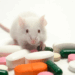 Anvisa divulga dados sobre ensaios clínicos em 2024: 315 novos estudos analisados, 126 autorizações para medicamentos experimentais e desafios na agilidade regulatória.