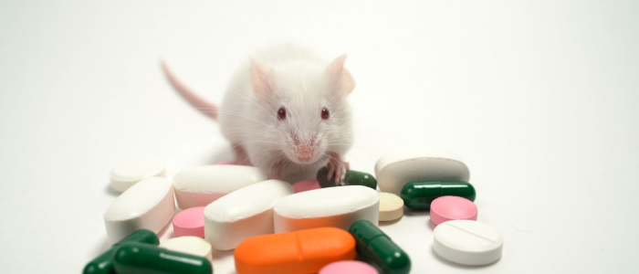 Anvisa divulga dados sobre ensaios clínicos em 2024: 315 novos estudos analisados, 126 autorizações para medicamentos experimentais e desafios na agilidade regulatória.
