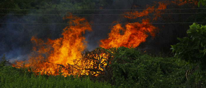 Relatório do MapBiomas mostra que 2024 foi o pior ano de queimadas no Brasil em 40 anos, com 30 milhões de hectares destruídos, principalmente na Amazônia e na Mata Atlântica.