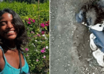 Aretha Duarte afirma que Juliana Marins teve responsabilidade ao planejar trilha na Indonésia. Montanhista critica abandono da turista e lentidão no resgate.