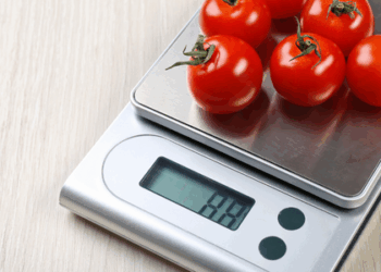 Estudo publicado na Nature Metabolism revela que o medicamento experimental SANA ativa a queima de gordura por termogênese, reduz obesidade e melhora resistência à insulina. Pesquisadores agora avançam para testes clínicos em humanos.