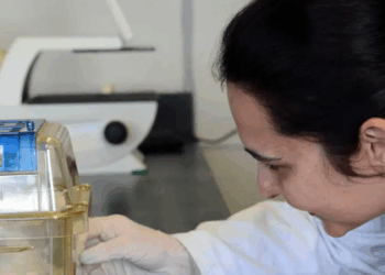 Pesquisadores brasileiros criam biotecidos de fígado que simulam tecido humano real para testes de toxicidade, oferecendo alternativa mais confiável e ética aos testes em animais. A inovação pode acelerar o desenvolvimento de novos medicamentos e tratamentos.