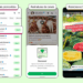 WhatsApp anuncia que vai exibir anúncios na aba "Atualizações" e liberar canais pagos com conteúdo exclusivo. Conversas continuam privadas, segundo a empresa.