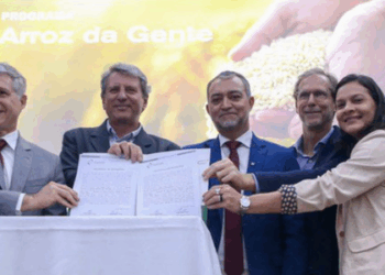 Com investimento inicial de R$ 17 milhões, o Governo Federal relança o Programa Arroz da Gente para fortalecer a produção de arroz pela agricultura familiar e comunidades tradicionais.