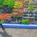 Governo lança Plano Safra da Agricultura Familiar 2025/2026 com R$ 89 bilhões. Medidas incluem juros negativos, agroecologia, irrigação sustentável e novo programa para reduzir agrotóxicos.