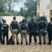 Operação “Bandido Não Se Cria” mira o Comando Vermelho no Espírito Santo e Bahia. MPES e MPBA cumprem 49 mandados de prisão por tráfico de drogas e associação criminosa.