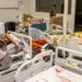 Quedas provocaram mais de 62 mil internações de idosos em 2025. Especialistas alertam para prevenção no Dia Mundial de Prevenção de Quedas, celebrado em 24 de junho.