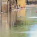 Alerta vermelho do Inmet indica chuvas intensas no Rio Grande do Sul. Defesa Civil alerta para riscos de alagamentos e deslizamentos em mais de 360 municípios.