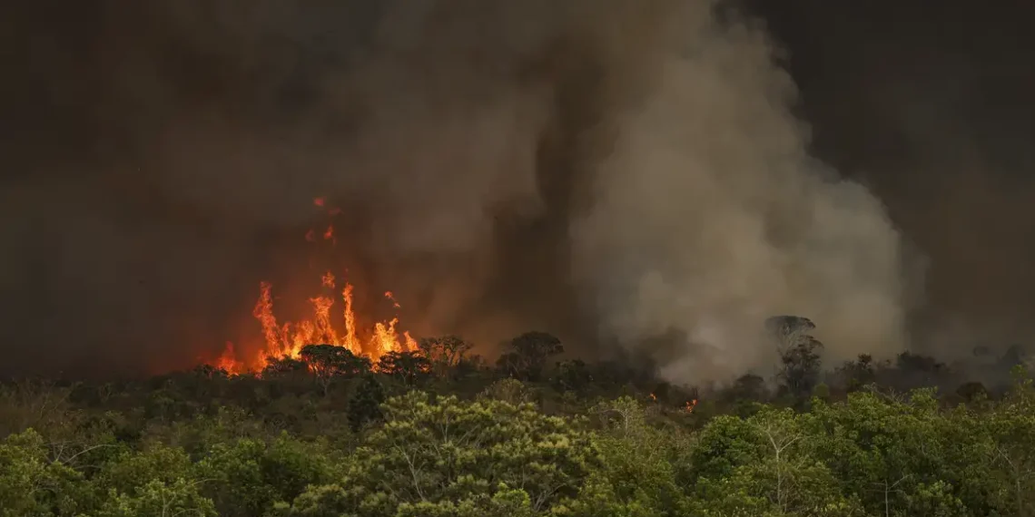 Desmatanto na meAmazônia cresce 92% em maio e acende alerta sobre efeitos das mudanças climáticas