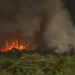 Desmatanto na meAmazônia cresce 92% em maio e acende alerta sobre efeitos das mudanças climáticas