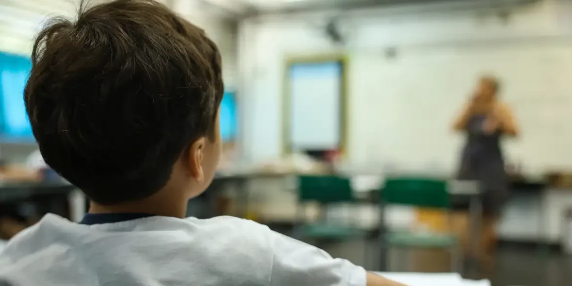 Apesar de avanços, o Brasil ainda não alcançou as metas do Plano Nacional de Educação para crianças de 4 a 5 anos, adolescentes de 15 a 17 anos e jovens no ensino superior.