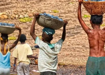 Entre 2023 e abril de 2025, mais de 6 mil crianças foram retiradas do trabalho infantil no Brasil. Maioria estava em condições perigosas. Campanha #ChegaDeTrabalhoInfantil reforça combate à prática.
