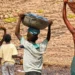 Entre 2023 e abril de 2025, mais de 6 mil crianças foram retiradas do trabalho infantil no Brasil. Maioria estava em condições perigosas. Campanha #ChegaDeTrabalhoInfantil reforça combate à prática.