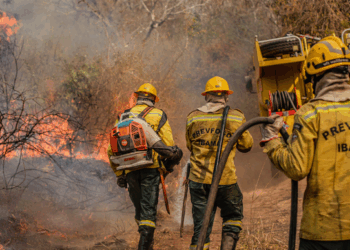 Brasil registra queda de 65,8% nas áreas queimadas e de 46,4% nos focos de calor de janeiro a junho de 2025. Governo intensifica ações de prevenção e combate com recorde de brigadistas e investimentos do Fundo Amazônia.
