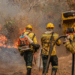 Brasil registra queda de 65,8% nas áreas queimadas e de 46,4% nos focos de calor de janeiro a junho de 2025. Governo intensifica ações de prevenção e combate com recorde de brigadistas e investimentos do Fundo Amazônia.