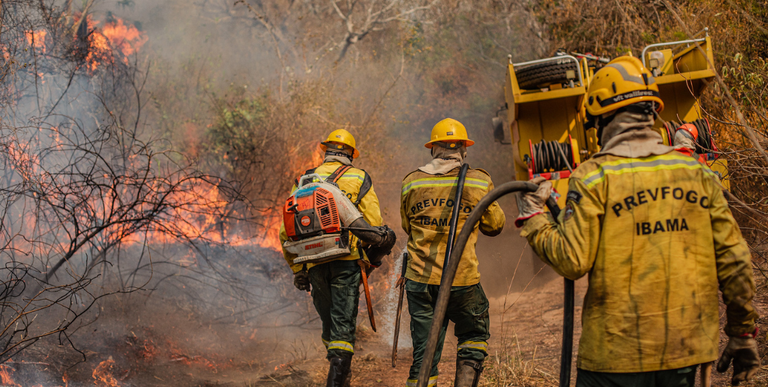 Brasil registra queda de 65,8% nas áreas queimadas e de 46,4% nos focos de calor de janeiro a junho de 2025. Governo intensifica ações de prevenção e combate com recorde de brigadistas e investimentos do Fundo Amazônia.