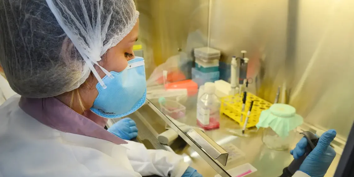 Imunizante contra o zika desenvolvido pela USP mostra eficácia em camundongos e pode seguir para testes com humanos. Vacina utiliza biotecnologia inovadora.