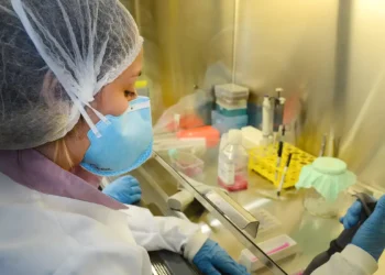 Imunizante contra o zika desenvolvido pela USP mostra eficácia em camundongos e pode seguir para testes com humanos. Vacina utiliza biotecnologia inovadora.