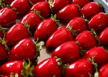Especialistas da Rede Ebserh alertam para os riscos do “morango do amor”, sobremesa da moda nas redes sociais. Produto pode provocar ansiedade, frustrações e até doenças metabólicas.