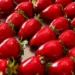 Especialistas da Rede Ebserh alertam para os riscos do “morango do amor”, sobremesa da moda nas redes sociais. Produto pode provocar ansiedade, frustrações e até doenças metabólicas.