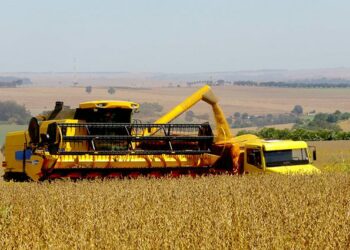 IBGE projeta safra recorde de 333,3 milhões de toneladas para 2025, com alta de 13,9% em relação ao ano anterior. Milho, soja e arroz lideram a produção, com destaque para o Mato Grosso.