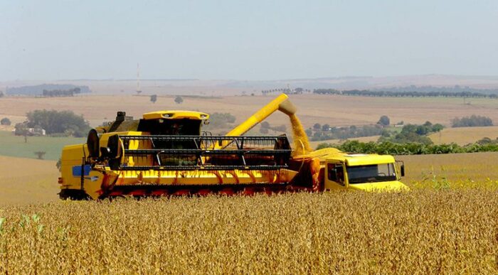 IBGE projeta safra recorde de 333,3 milhões de toneladas para 2025, com alta de 13,9% em relação ao ano anterior. Milho, soja e arroz lideram a produção, com destaque para o Mato Grosso.