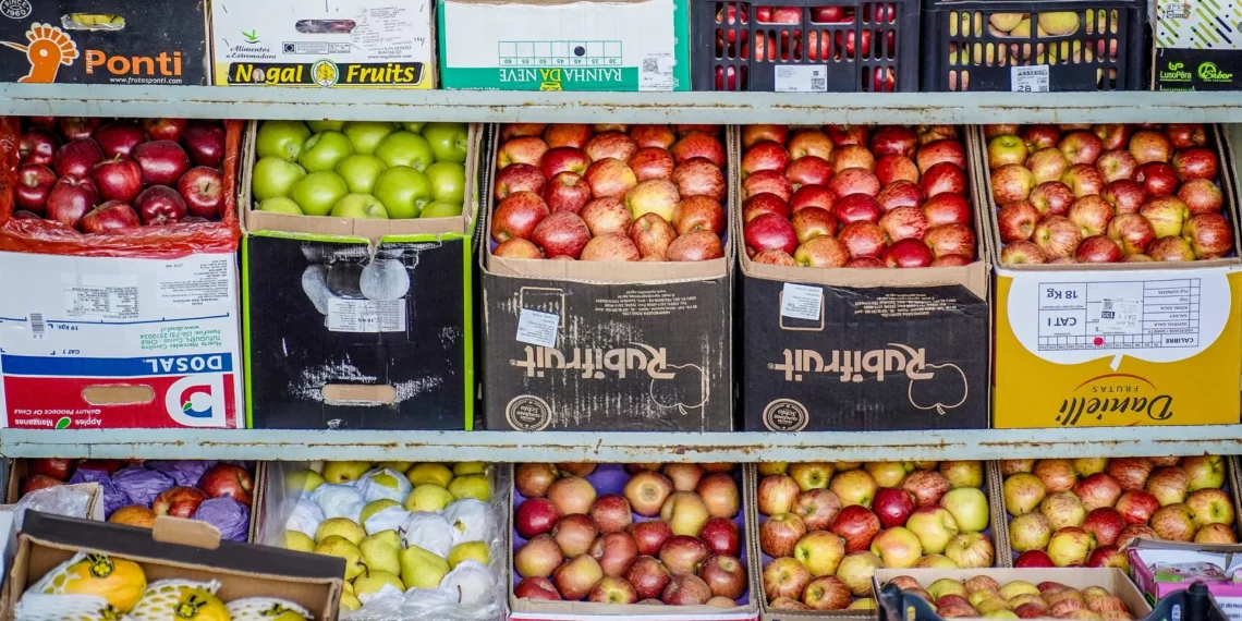 Nova tarifa de 50% dos EUA ameaça 77 mil toneladas de frutas brasileiras. Medida pode causar prejuízos, demissões e colapso no Vale do São Francisco.