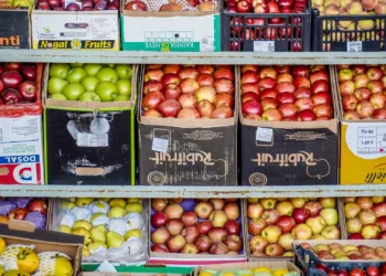 Nova tarifa de 50% dos EUA ameaça 77 mil toneladas de frutas brasileiras. Medida pode causar prejuízos, demissões e colapso no Vale do São Francisco.