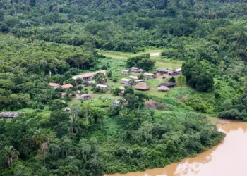 Justiça Federal reafirma desintrusão da Terra Indígena Apyterewa, no Pará. Ocupantes não indígenas devem deixar a área sem direito à indenização, beneficiando o povo Parakanã.