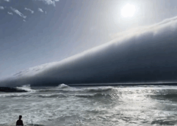 Uma nuvem volutus, formação atmosférica rara e inofensiva, assustou banhistas em praias de Portugal ao se deslocar sobre o mar no sábado (28). Meteorologistas tranquilizaram a população.