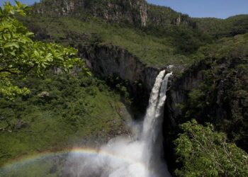Com 25 anos de existência, o Sistema Nacional de Unidades de Conservação (SNUC) já protege mais de 2,6 milhões de km² do território brasileiro e tem papel essencial na preservação ambiental, desenvolvimento sustentável e combate às mudanças climáticas.