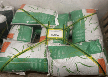 Rações contaminadas da Nutratta provocaram a morte de 245 cavalos em MG, SP, RJ e AL. Mapa determinou suspensão da produção e acionou a Justiça para manter a medida.
