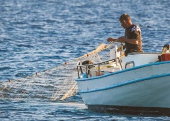 Programa Amazônia Azul define critérios para seleção de projetos e amplia público-alvo. Iniciativa quer impulsionar a economia do mar e reduzir desigualdades no litoral brasileiro.