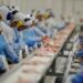 O Índice de Preços ao Produtor (IPP) caiu 1,29% em maio de 2025, puxado por alimentos e derivados de petróleo. É a maior retração do ano, segundo o IBGE.