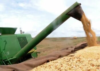 Com investimento recorde de R$ 516,2 bilhões, o Plano Safra 2025/2026 fortalece o agro com crédito ampliado, incentivos à sustentabilidade, modernização e renegociação de dívidas.
